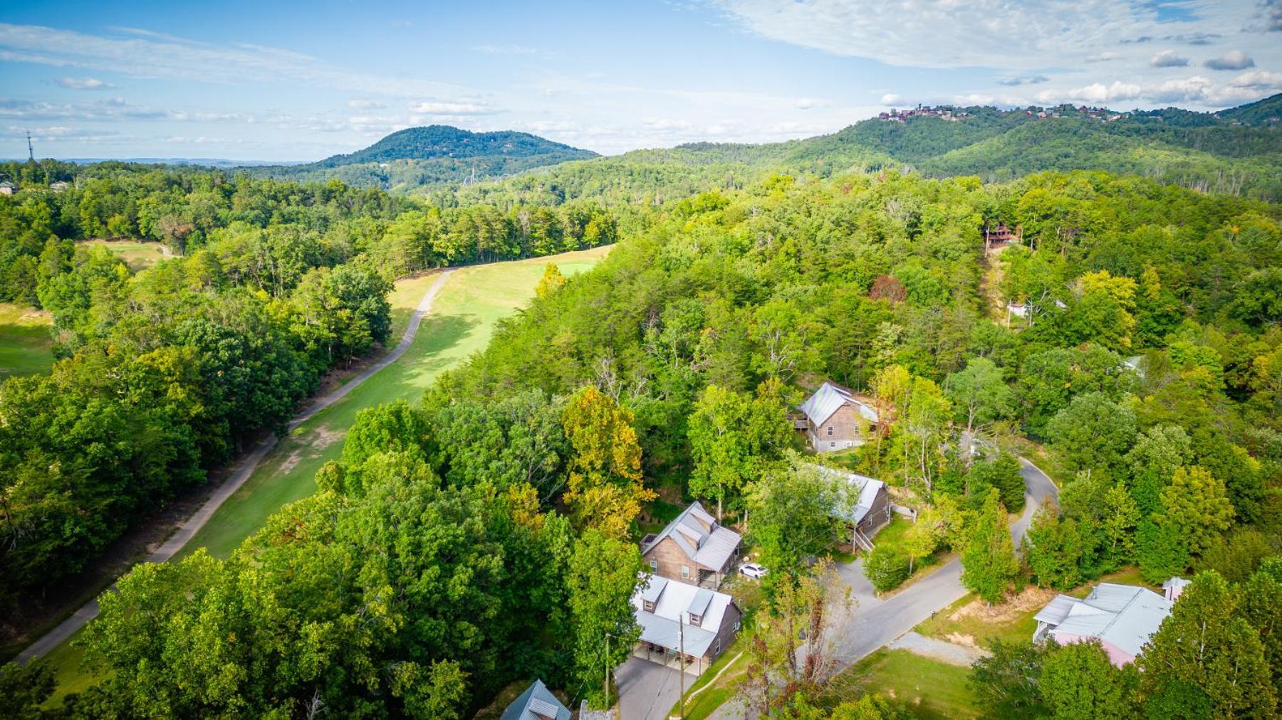 Paws In The Air Pigeon Forge Exterior foto